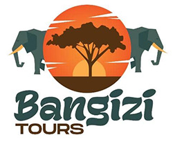 Bangizi Tours
